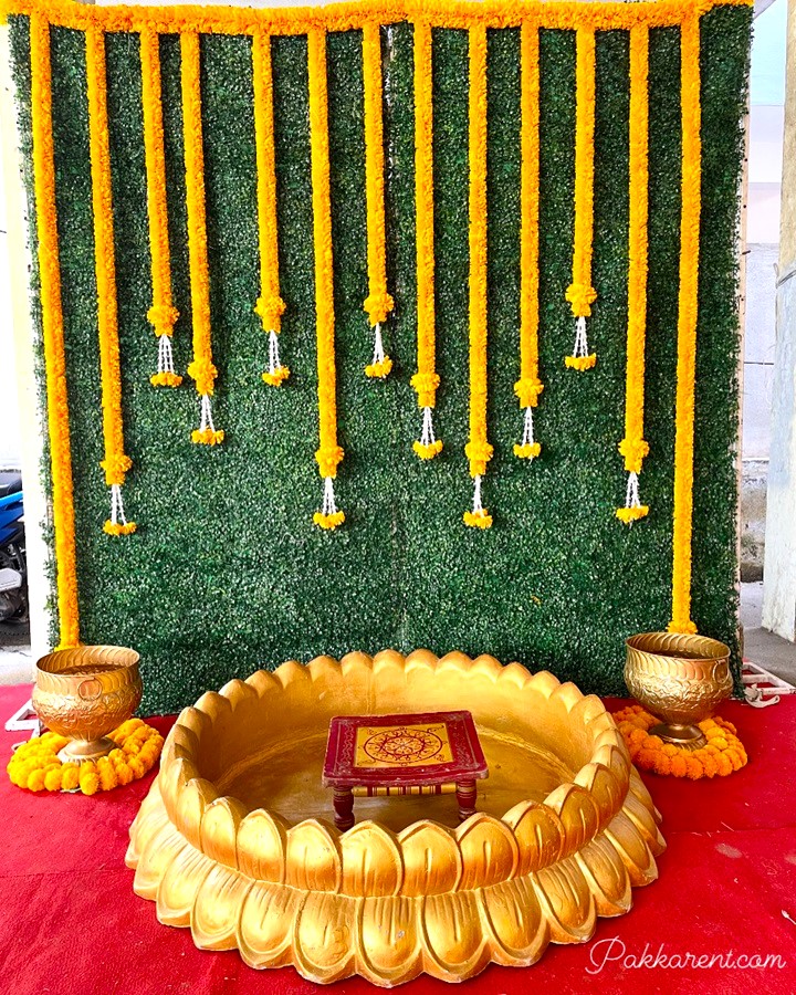 Haldi Grass Backdrop rental